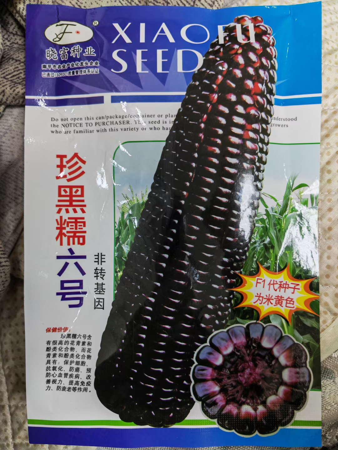 夏邑县玉米种子