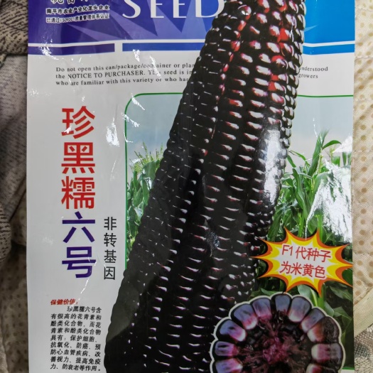 夏邑县玉米种子