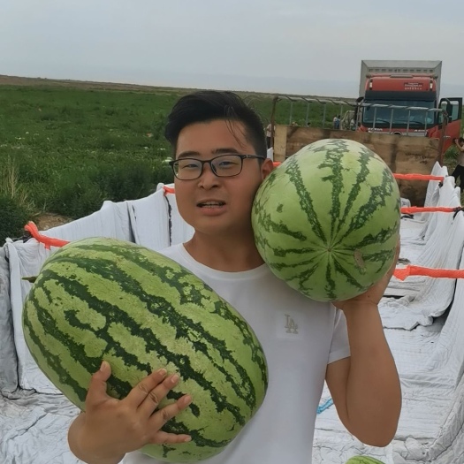 吐鲁番新疆西瓜  金城5号西瓜 新疆西瓜