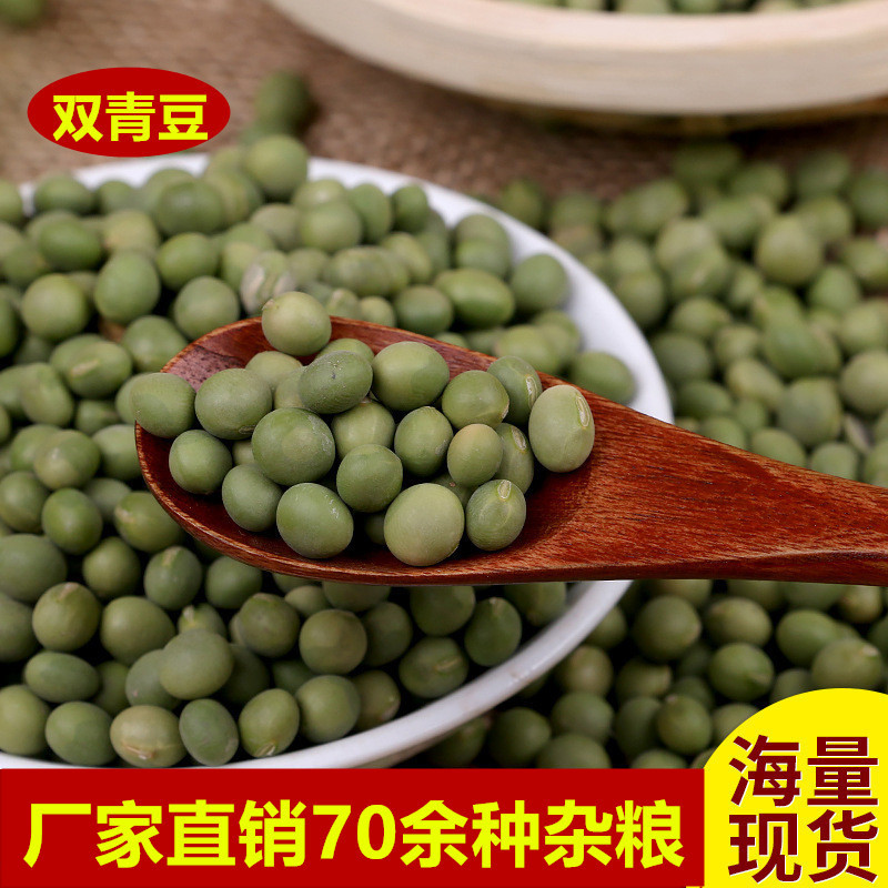 临沂青豆  现货供应东北双青豆 泡菜五谷杂粮袋装50斤