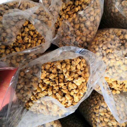 昆明斤新鲜发酵玉米酒糟钓鱼喂鸡鸭鱼猪牛羊虾出栏快