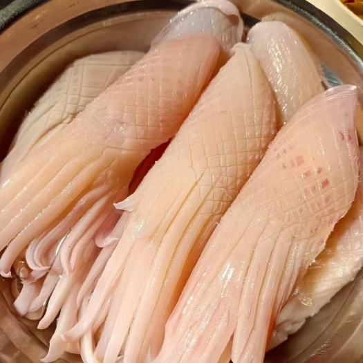 重庆市火箭鱿鱼