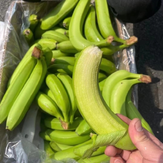 上海常年供应香蕉 主营菲律宾 越南 柬埔寨 南美蕉