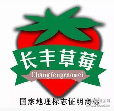 长丰县长丰红颜草莓苗