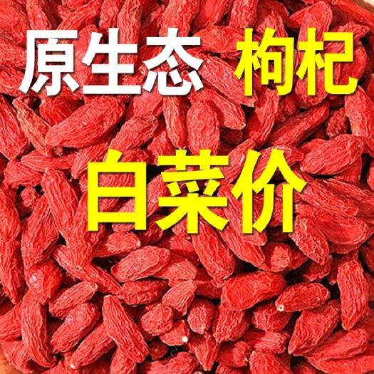 包邮新货宁夏特产中宁红枸杞散装大颗粒一手货源量大优惠一件代发