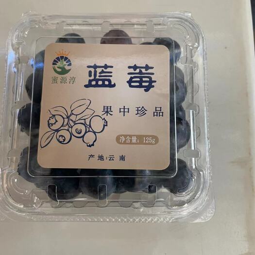 石屏县蓝莓