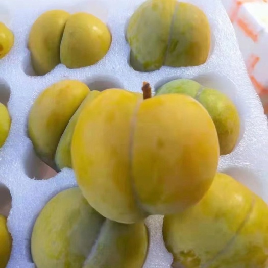 安顺蜂糖李。精品，精包装，可做团购一件发
