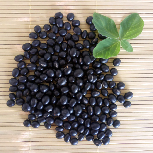 镇平县黄豆种子 黑黄豆黑皮绿心