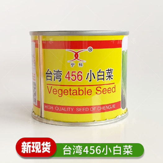广州456小白菜种子四季耐热快菜种籽农家大田种植蔬菜种孑