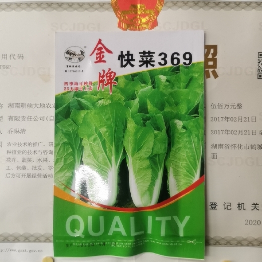 怀化快菜种子快菜369耐热抗病生长快叶面无毛叶质软风味佳