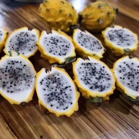 灵山县燕窝火龙果苗嫁接苗，甜度最甜的火龙果品种