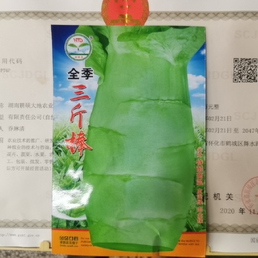 怀化三斤棒莴笋种子尖叶耐高温皮浅绿肉全绿科学栽培可达三斤以上