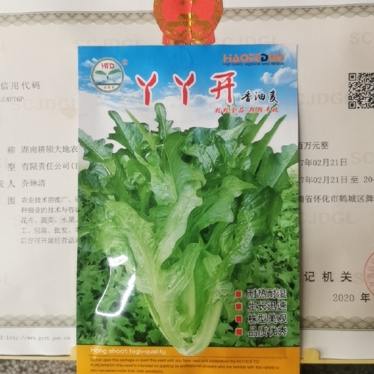 香油麦种子花叶油麦口感清香脆嫩品质佳耐热耐湿品质优秀生长快