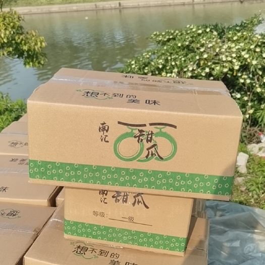 上海玉菇甜瓜