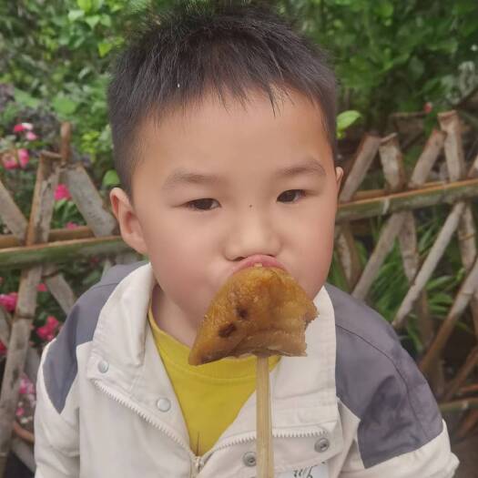 东安县纯手工制作的粽子，好吃的停不下来         腊肉板栗粽
