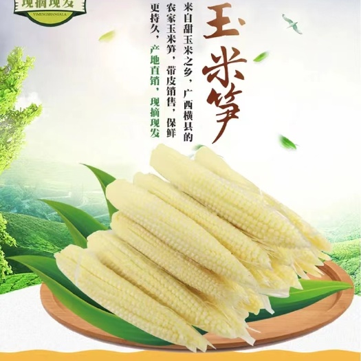 眉山产地直供，带皮发货，菅养丰富，口感细而软糯