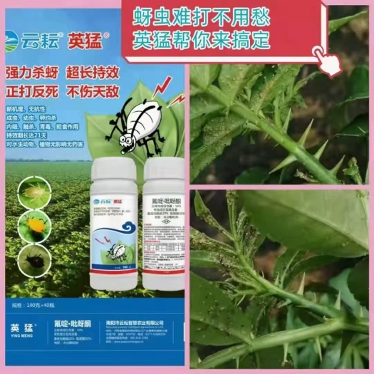 桐柏县50%烯啶吡蚜酮