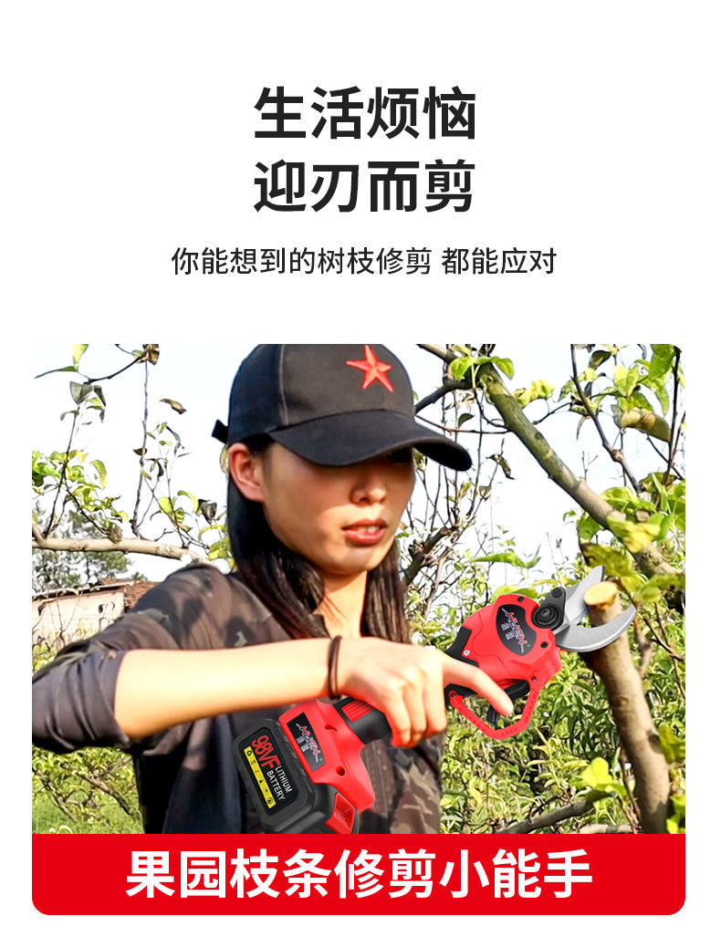 德国技术新款电动剪刀无线锂电修枝剪园艺剪刀修花圃果树好帮手