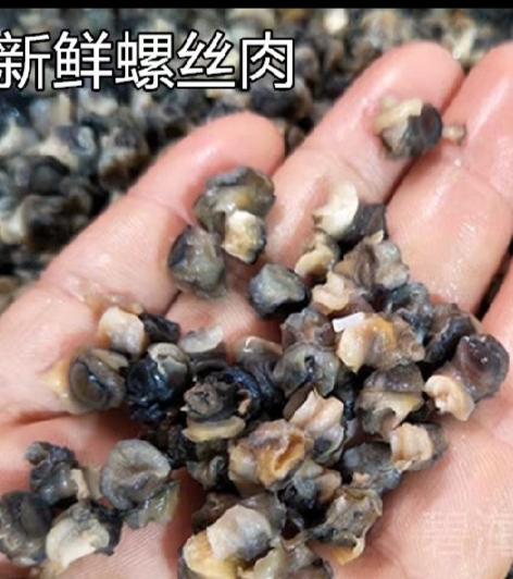 微山县湖区特产