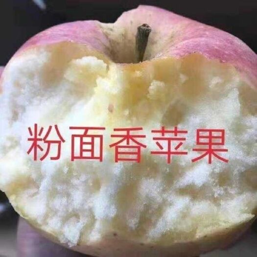 蒙阴县老红星粉面苹果老人宝宝吃的低糖粉面苹果