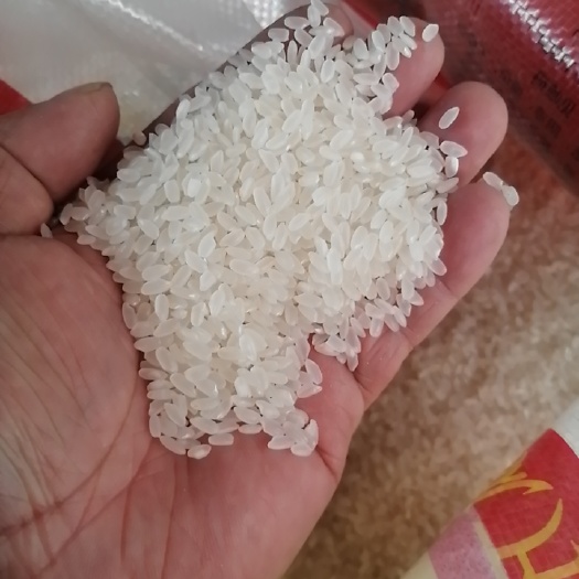 马鞍山黑龙江齐齐哈尔，稻花香米