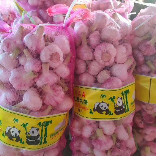 邳州市邳州鲜蒜蒜苔大量上市了