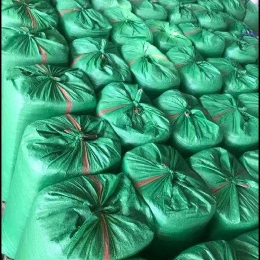 汕头玉米青储