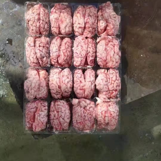 永登县羊脑