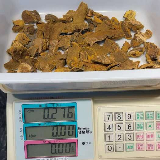 抚松县包邮  长白山大山桑树桑黄正品金边桑黄灵芝菌整枝250g