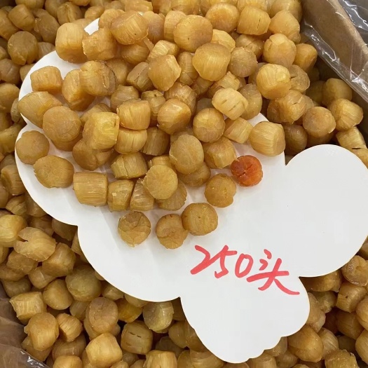 文山市250头大连元贝色泽特别的金黄漂亮，煲汤煮粥的调味剂