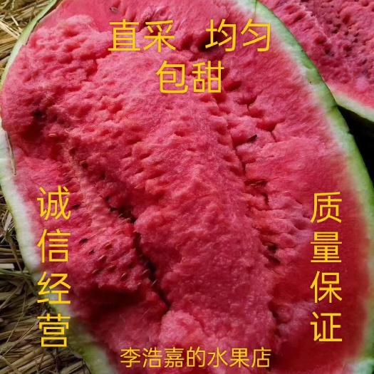 吐鲁番主营金城5号，新疆西瓜，产地直销，质量保证，诚信经营