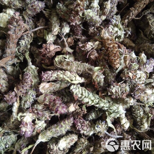 青花夏枯草 2024新货，产新已开始，品质优，有大货量大从优