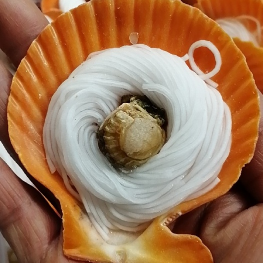 佛山湛江扇贝粉丝扇贝新鲜黄金扇贝烧烤扇贝