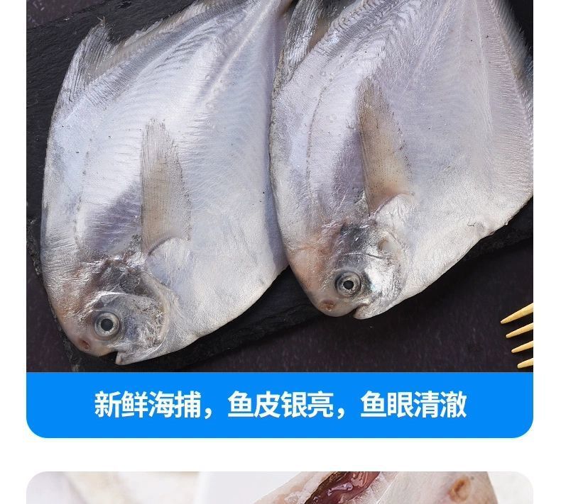 鲳鱼 白鲳鱼 海捕白鲳鱼 银鲳鱼   刺少肉多  鲜嫩美味