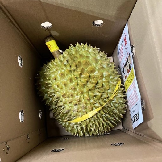 昆明泰国金枕榴莲A果 皮薄肉厚核小  软糯香甜 主打回头客