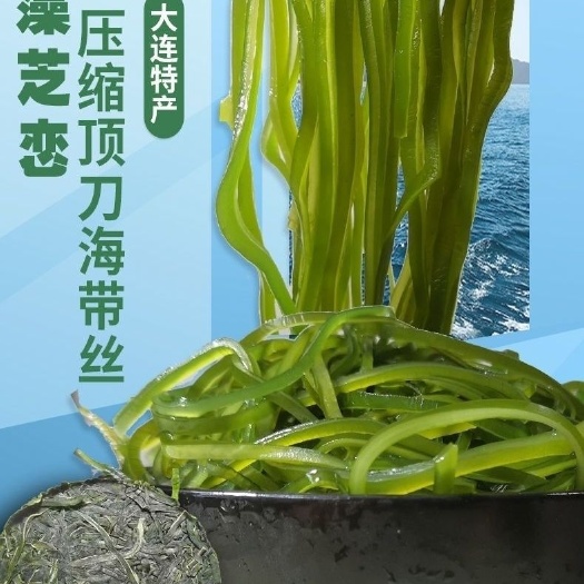 压缩带丝  烘干压缩海带丝  顶刀丝海带 饼免煮免洗多规格