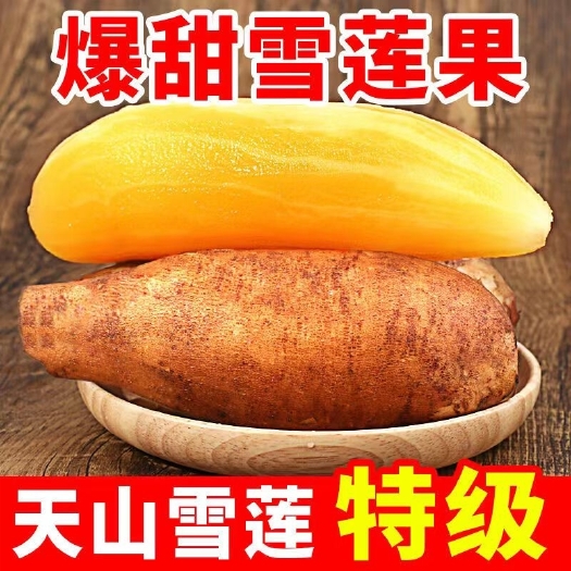 昆明云南雪莲果，微商电商对接精品果大果