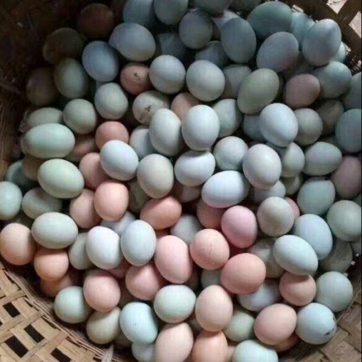 成都土鸡蛋