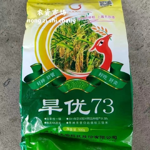 华容县上海旱优73 旱稻种子 抗旱性强 净含量500克一亩地用种量