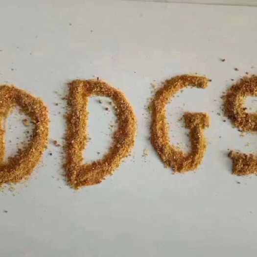 石家庄玉米酒糟DDGS