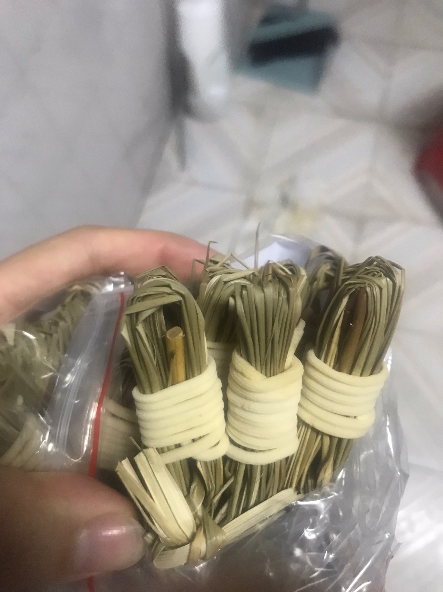 无硫灯芯草儿童清火煲汤泡水喝茶灯心草汤虎须草龙须草煲汤材料