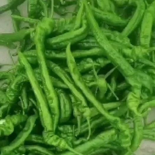 鲜辣椒螺丝椒