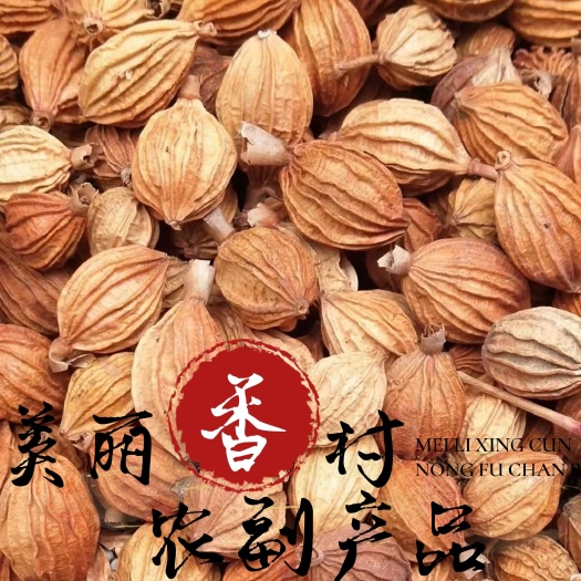 【1斤包邮】优质川香砂香砂仁卤味火锅调料大全香料按方配料