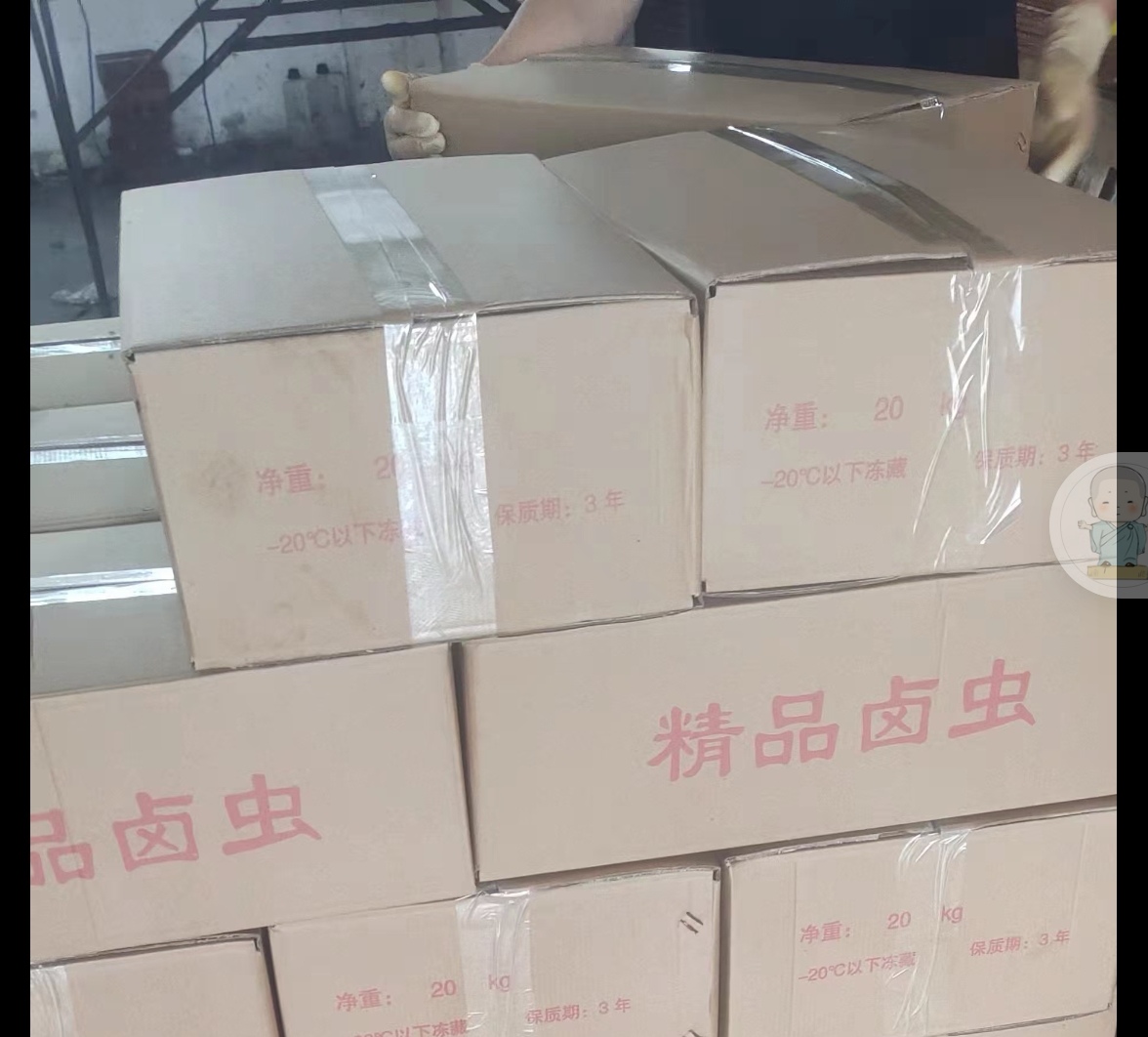 精品丰年虫，鲜货，冻板，量大价优