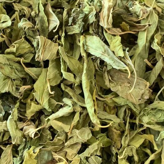 玉林长期供应｛忧遁草全叶｝可批量可零售量大从优【包邮】