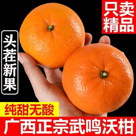 广西武鸣沃柑现摘橘子新鲜非皇帝柑砂糖橘应季水果礼盒装