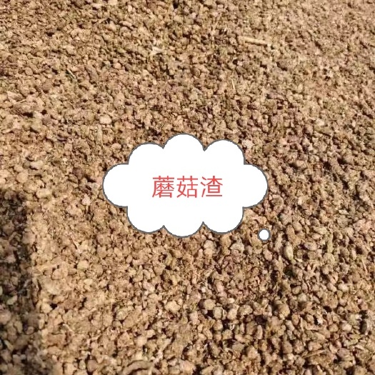 石家庄蘑菇渣金针菇渣