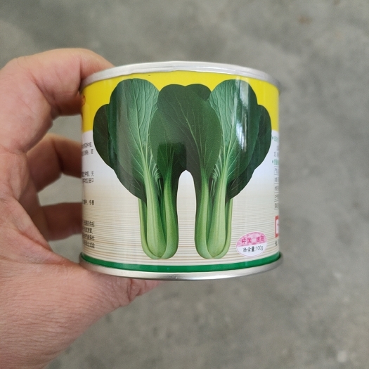 抗病性强耐热,耐湿叶绿梗青高温不拔节抽苔晚100克