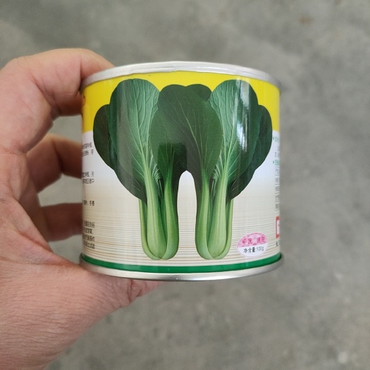 聊城抗病性强耐热,耐湿叶绿梗青高温不拔节抽苔晚100克