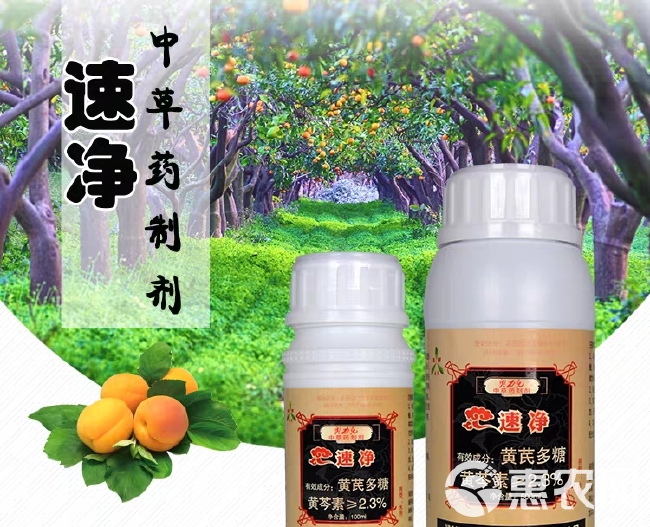 速净农药杀菌剂月季草莓白 粉病辣椒番茄炭疽病黑斑病黑星病锈病